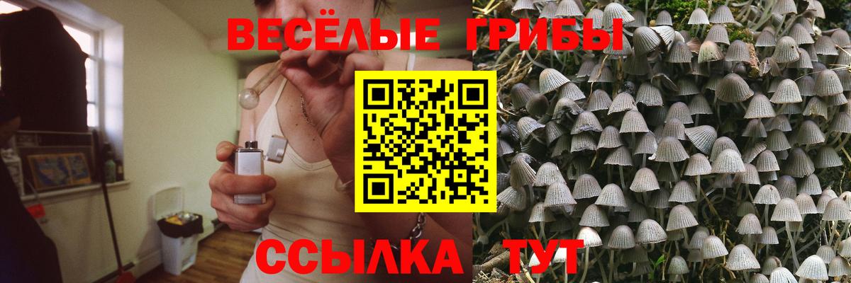 Галлюциногенные грибы мицелий Электросталь